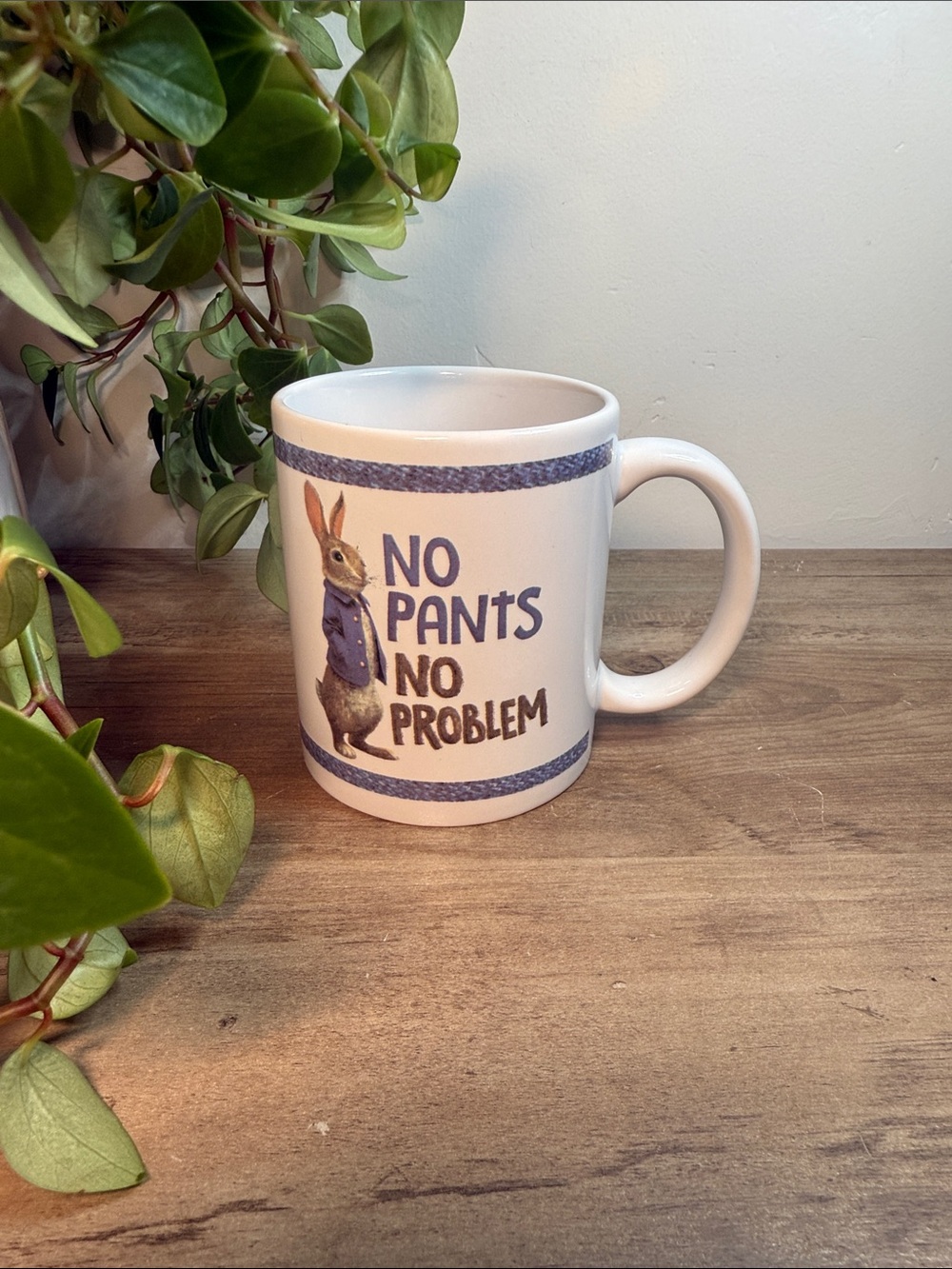 Dan Dee White Ceramic Peter Rabbit Mug with Blue Accents - No Pants No Problem